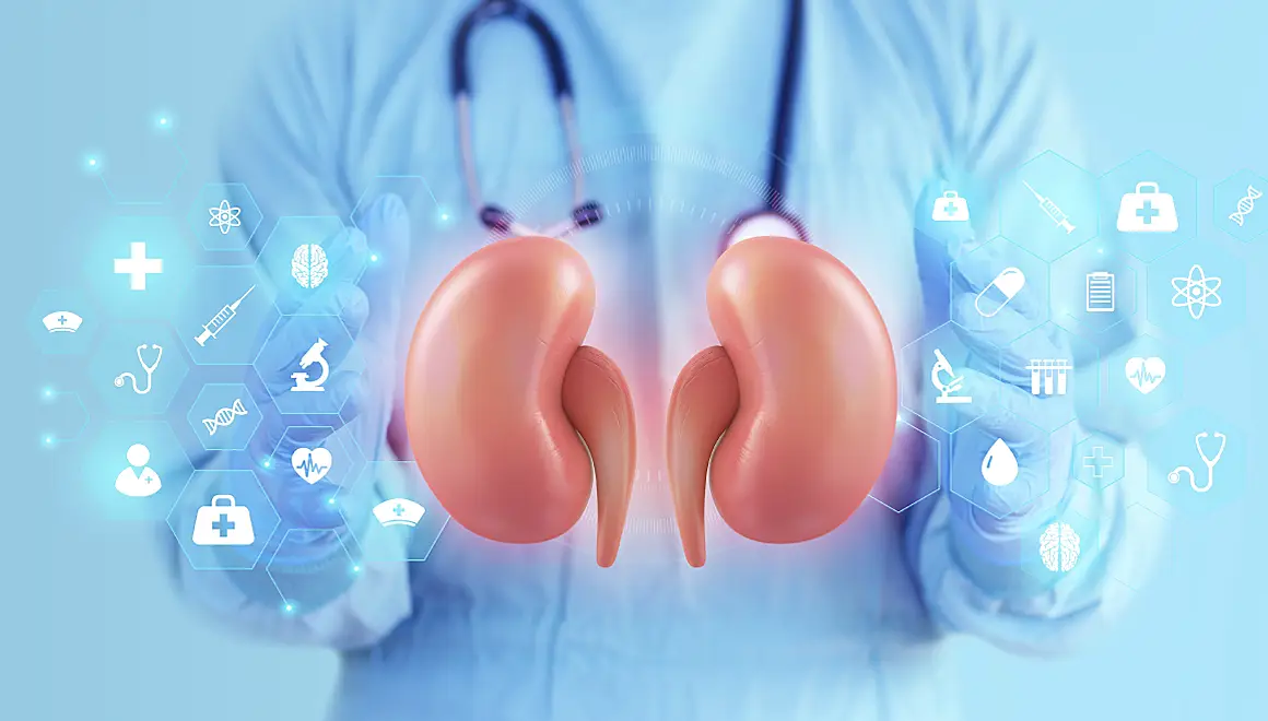 わたしたちについてイメージ